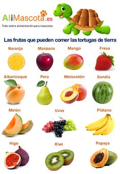 an image of fruits and vegetables in spanish