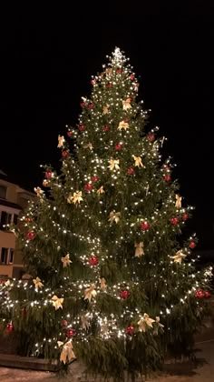 a large christmas tree is lit up at night