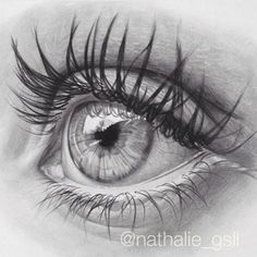 a pencil drawing of an eye with long lashes