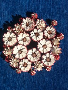 an arrangement of white and red flowers arranged in a circle on a blue cloth background