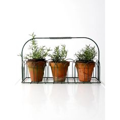 three potted plants are sitting on a wire rack with metal bars attached to them