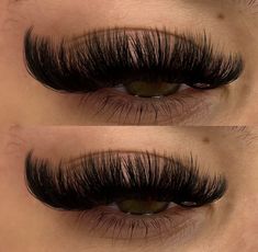 Pretty Lashes