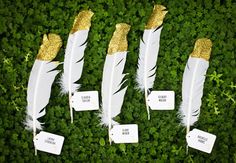 four white and gold feathers with tags on them sitting in the middle of green grass