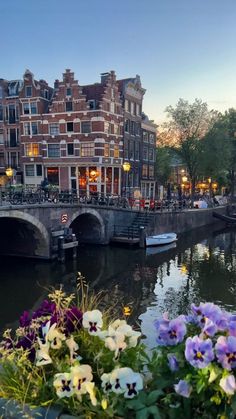 flowers are in the foreground and buildings on the other side, along with a bridge