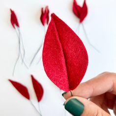 a person is holding a red leaf with green nail polish on it and the petals are scattered around