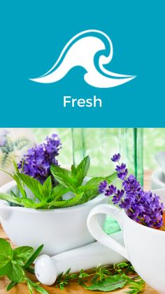 fresh herbs in white bowls on a wooden table with green leaves and purple flowers next to them