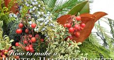 an arrangement of plants and berries with the words how to make a winter hanging basket