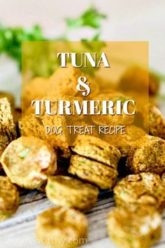 tuna and turmeric dog treat recipe