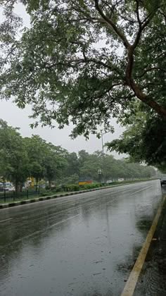 a wet street with trees and cars on it