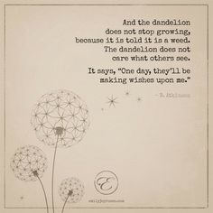 a dandelion is shown with the quote it says, and the dandelion does not stop growing