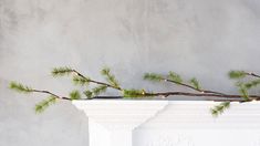 a branch with lights hanging from it on top of a fireplace mantel in front of a gray wall