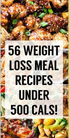 Want some new, delicious, weight loss recipes that you can have for dinner tonight? Then we've got you covered! We have gathered some incredible, calorie counted meals that can fit into any diet or healthy eating plan. Listed in order of their calorie count, just check the calories, see if you like the recipe and Dinner Recipes Under 500 Calories, Calorie Counting Recipes, Low Calorie Recipes Dinner, Calorie Count, Low Calorie Dinners, Eating Plan, Best Diet Plan, 500 Calories, No Carb Diet