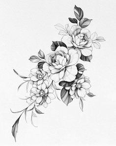 a black and white drawing of flowers