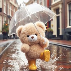 a teddy bear holding an umbrella in the rain