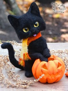 a black cat sitting on top of a wooden table next to a jack o lantern