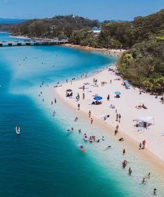 many people are on the beach and in the water