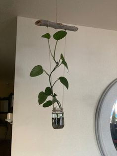 a plant in a glass jar hanging from the ceiling next to a round mirror on a wall