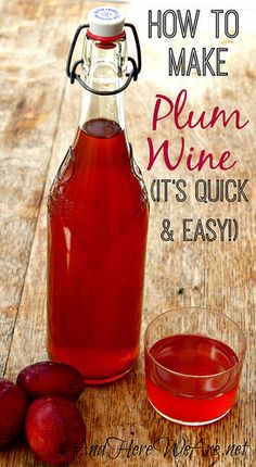 how to make plum wine it's quick and easy