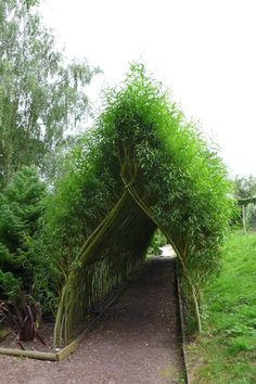 an arch made out of bamboo sticks in the middle of a path surrounded by trees