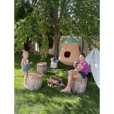 two children are sitting in the grass near a tree stump with a birdhouse on it