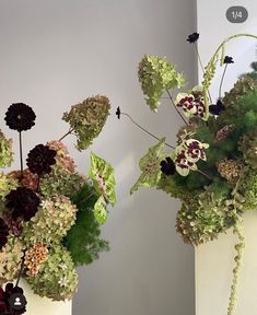 two vases filled with different types of flowers