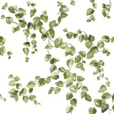 green leaves flying in the air on a white background