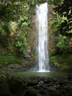 a large waterfall in the middle of a forest