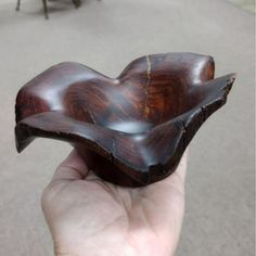 a hand holding a piece of wood in the shape of a bird's wing