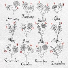 months of the year with flowers drawn on paper