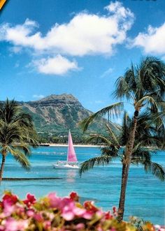 a sailboat in the ocean with palm trees and mountains in the backgroud