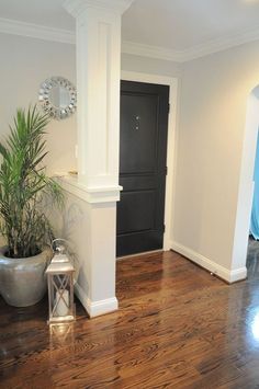 an entry way with a potted plant next to it and a mirror on the wall