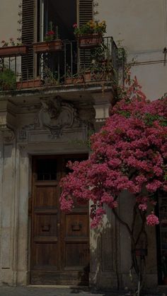 an old building with flowers on the balconies and a tree in front of it