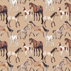 a group of horses that are standing up in the dirt, on a beige background