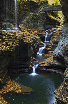 a small waterfall in the middle of a forest with fall foliage around it and a bridge above