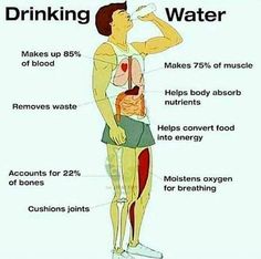 Water for the win! Water Health, Water Benefits, Cheat Meal, Pinterest Recipes, Health Info, Health Facts, Gymnast, Health Remedies, Body Health