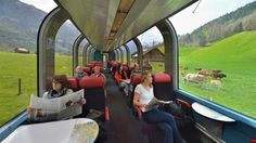 people sitting in seats on a train looking at the grass and cows grazing behind them