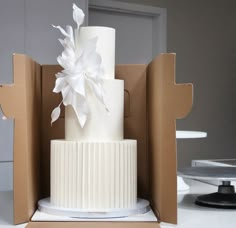 a three tiered white cake in a box