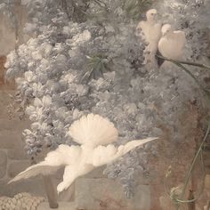 two white birds sitting on top of a stone wall next to flowers and rocks in front of them