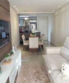 a living room filled with furniture and a white dog laying on the floor next to it