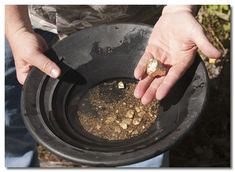 a person holding a black bowl filled with dirt and small pieces of food in their hands