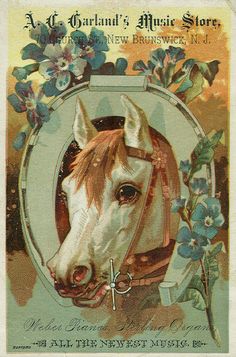 a postcard with a horse's head and flowers on the front, as well as an advertisement for new brunswick music store