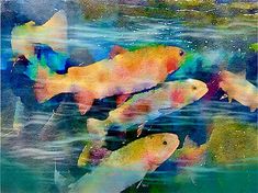 an image of fish swimming in the water