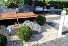 an outdoor area with rocks and plants on the ground