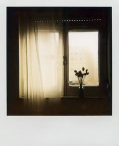 a vase with flowers sitting in front of a window sill next to a curtain