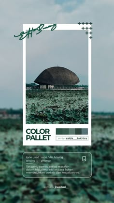 an advertisement for color pallet in the middle of a field with green plants on it