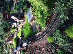 a toy train is coming down the tracks in a miniature garden area with trees and bushes