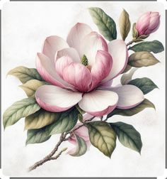 a painting of a pink flower with green leaves and buds on a white paper background