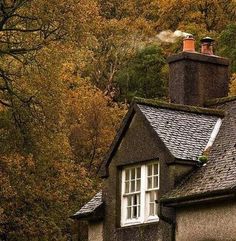 Chimney Pots, Brown Cottage, Woodland Cottage, Autumn Cottage, Cottage Retreat, Brown Autumn, English Country Cottage, Dream Cottage