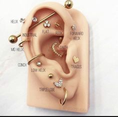 an ear is shown with different types of piercings