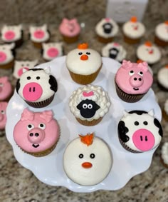 cupcakes decorated with farm animals and pigs on a white plate next to other cupcakes